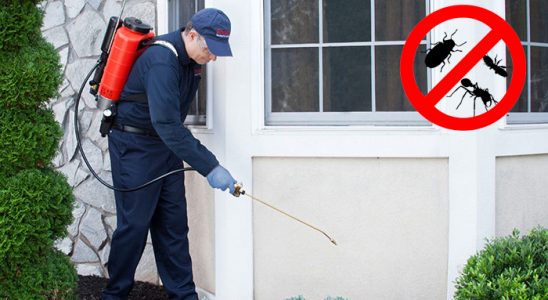 Urla Dezenfeksiyon böcek ilaçlama ve haşere kontrolü — ilaclama-tr.com